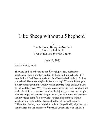 Sunday, June 29, 2025 Sermon: Like Sheep without a Shepherd